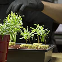 DIY Hydroponic Gardens 9 1681754487 455 DIY Hydroponic Gardens How to Design and Build an