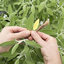 DIY Hydroponic Gardens 15 1681754489 30 DIY Hydroponic Gardens How to Design and Build an