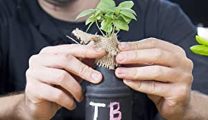 DIY Hydroponic Gardens 17 1681754490 176 DIY Hydroponic Gardens How to Design and Build an