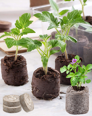 Legigo 1" Rockwool Starter Plugs 17 Peat Pellets