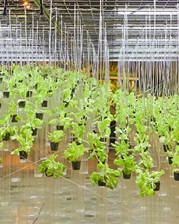 Tmtamye 100 Pack 2 inch Net Pots Hydroponics Supplies Cups 12 net pots