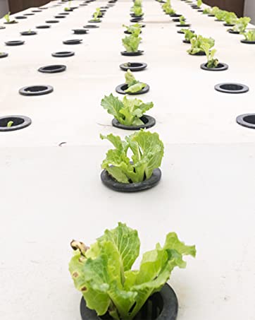Tmtamye 100 Pack 2 inch Net Pots Hydroponics Supplies Cups 16 net pots