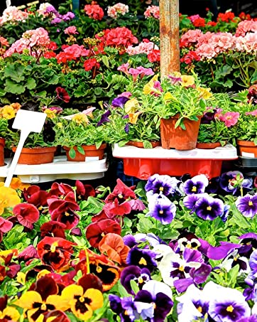 TDHDIKE 4" Plant Pots Small Plastic Plants Nursery Pot/Pots (100pcs) 19 Small flower pots