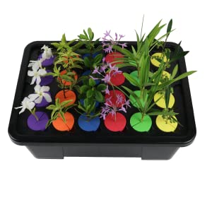 Psycloner Clone Machine, Hydroponics System, Cloner for Plant Cuttings 25 24 Site DWC Psycloner with clone strains organized by color