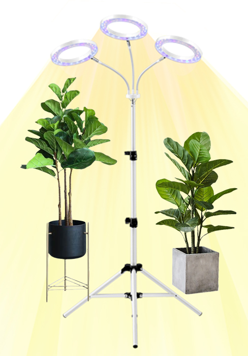 grow light