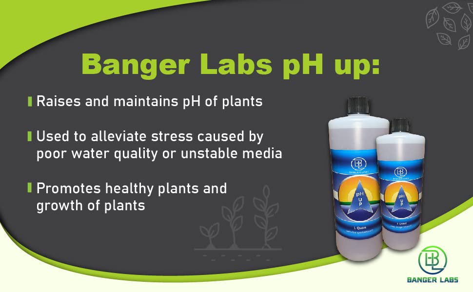 Banger Labs Premium pH Up Solution 15 healthy growth plants maintains ph