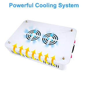 Giixer 1000W LED Grow Light, Dual Switch & Dual Chips Full Spectrum LED Grow Light Hydroponic Indoor Plants Veg and Flower-1000 watt ( 10W LEDs 100Pcs) 18 2 powerful cooling fans,heat resistant