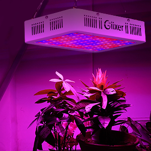 Giixer 1000W LED Grow Light, Dual Switch & Dual Chips Full Spectrum LED Grow Light Hydroponic Indoor Plants Veg and Flower-1000 watt ( 10W LEDs 100Pcs) 20 led grow light 1000Watt
