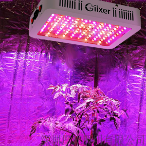 Giixer 1000W LED Grow Light, Dual Switch & Dual Chips Full Spectrum LED Grow Light Hydroponic Indoor Plants Veg and Flower-1000 watt ( 10W LEDs 100Pcs) 24 grow light for bloom