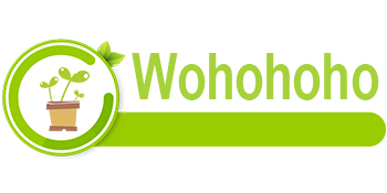 Wohohoho 2.2lbs Mini Hydroponics Clay Pebbles, Upgraded 3mm-5mm Hydro Ceramsite Balls 13 coarse silica sand