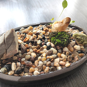 Wohohoho 2.2lbs Mini Hydroponics Clay Pebbles, Upgraded 3mm-5mm Hydro Ceramsite Balls 25 rive rocks
