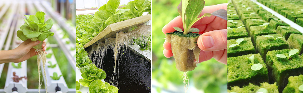Halatool 1 Inch Garden Rockwool Stonewool Rockwool Grow Cubes Starter Plugs for Soilless Cultivation Clone Plants Hydroponics Germination Start (4 Sheets) 15 4444