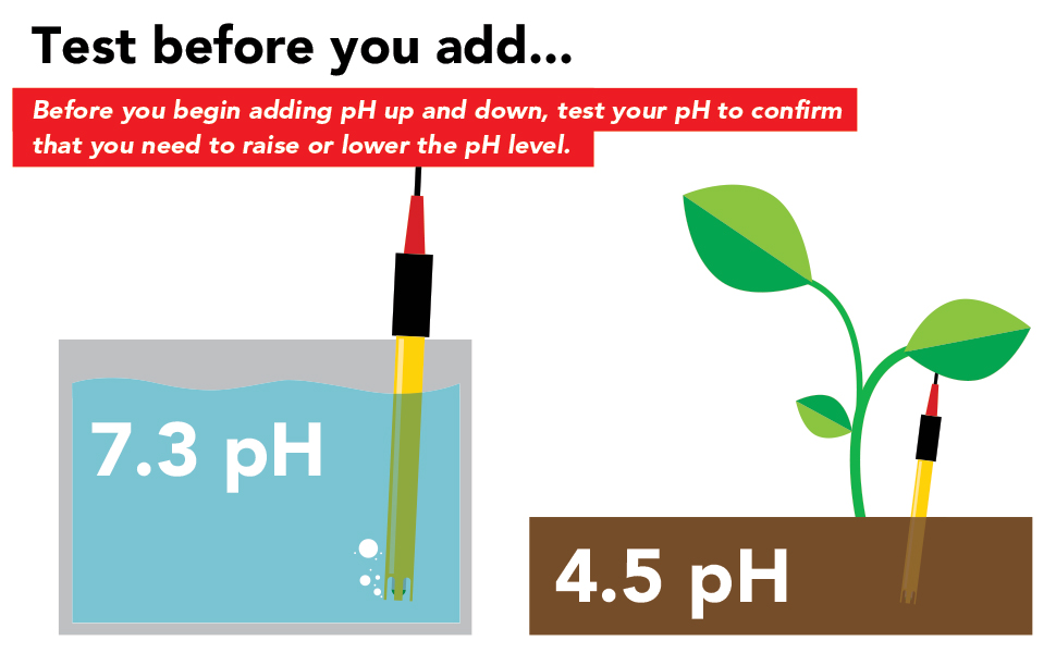 Atlas Scientific pH Up and Down 250ml (8oz) 8 Atlas Scientific, pH Up, pH Down