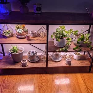 DOMMIA Grow Lights for Indoor Plants, 20W Full Spectrum LED Grow Light with Auto ON & Off Timer, 132 LEDs Sunlike Plant Light for Hydroponics, Succulents & More, Easy to Assemble(2Pcs) 19 grow lights for indoor plants under cabinet led grow light panel