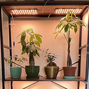DOMMIA Grow Lights for Indoor Plants, 20W Full Spectrum LED Grow Light with Auto ON & Off Timer, 132 LEDs Sunlike Plant Light for Hydroponics, Succulents & More, Easy to Assemble(2Pcs) 23 grow lights for indoor plants under cabinet led grow lights full spectrum wall bookshelf