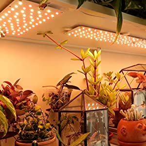 DOMMIA Grow Lights for Indoor Plants, 20W Full Spectrum LED Grow Light with Auto ON & Off Timer, 132 LEDs Sunlike Plant Light for Hydroponics, Succulents & More, Easy to Assemble(2Pcs) 21 grow lights for indoor plants under cabinet led grow lights full spectrum wall bookshelf