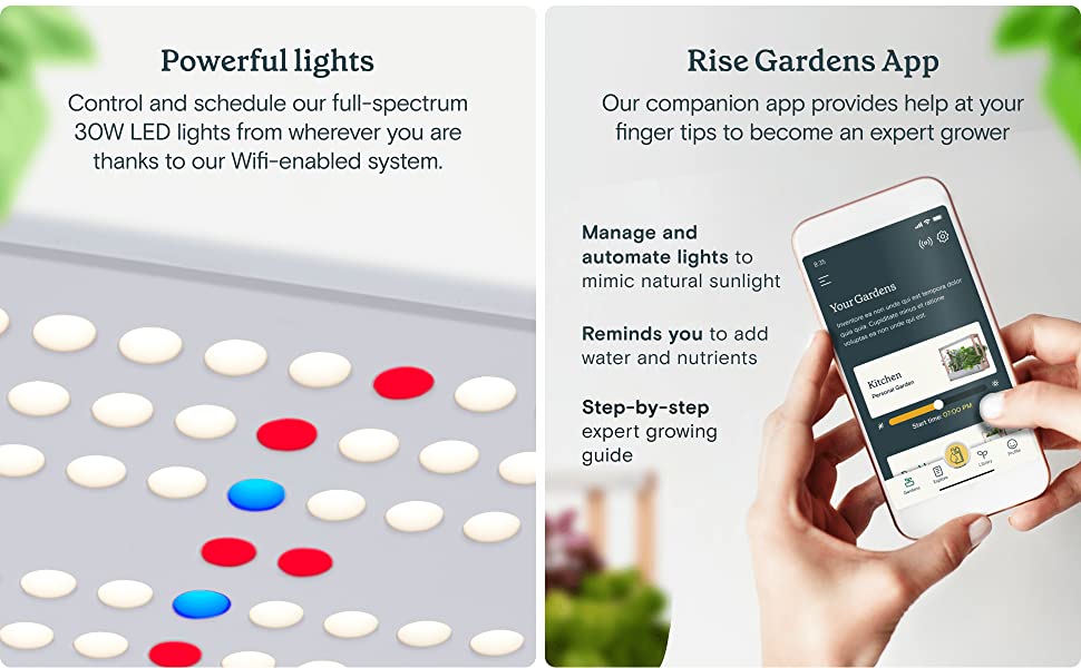 Rise Gardens Personal Garden and Starter Kit | Hydroponics Growing System, Wi-Fi & App Controlled Indoor Garden with Growing Lights & Self-Watering System | Includes 8 Seed Pods & 6 Weeks Nutrients 10 home hydroponics growing system hydroponic table hydroponic tower hydroponic tower garden