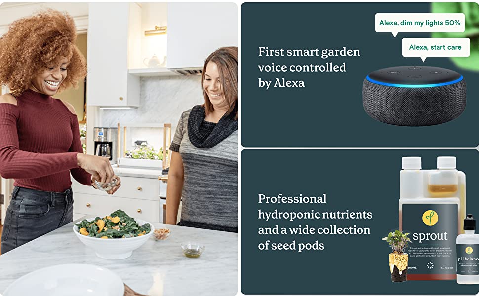 Rise Gardens Personal Garden and Starter Kit | Hydroponics Growing System, Wi-Fi & App Controlled Indoor Garden with Growing Lights & Self-Watering System | Includes 8 Seed Pods & 6 Weeks Nutrients 12 indoor lettuce growing system indoor vertical garden cooking with alexa