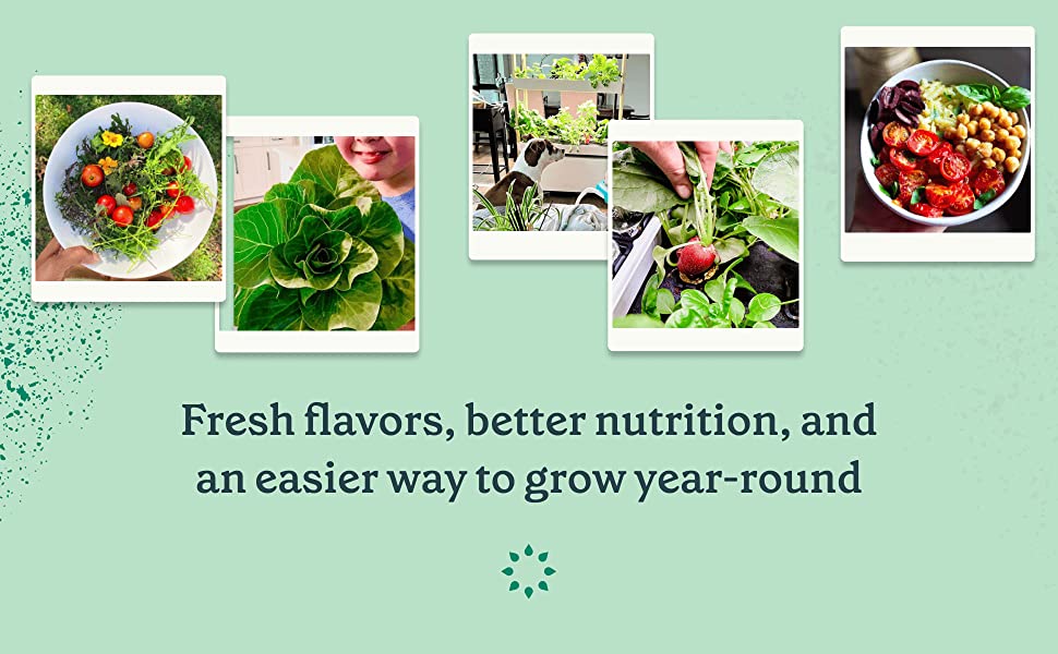 Rise Gardens Personal Garden and Starter Kit | Hydroponics Growing System, Wi-Fi & App Controlled Indoor Garden with Growing Lights & Self-Watering System | Includes 8 Seed Pods & 6 Weeks Nutrients 16 salad mix kit tower garden tower garden growing system tower gardens turnkey hydroponic