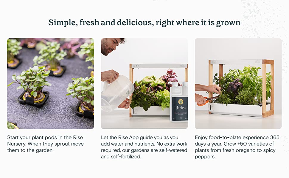 Rise Gardens Personal Garden and Starter Kit | Hydroponics Growing System, Wi-Fi & App Controlled Indoor Garden with Growing Lights & Self-Watering System | Includes 8 Seed Pods & 6 Weeks Nutrients 14 lettuce grow farmstand lettuce grow tower live herb plants mini huerto plant farm