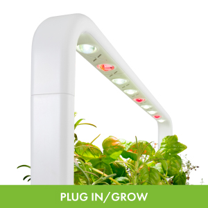 Click & Grow Indoor Herb Garden Kit with Grow Light | Easier Than Hydroponics Growing System | Smart Garden for Home Kitchen Windowsill | Vegetable & Herb Garden Starter Kit with 9 Plant pods, White 16 Plug in the garden. Everything else is automated!