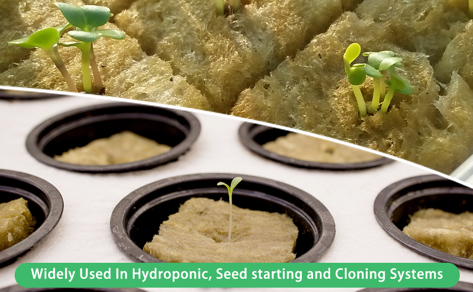 Future Way 1.5" Rockwool Cubes with Holes, Starter Plugs for Hydroponics, Easy to Transplant and Cut by Scissors, 4 Sheets of 49 Plugs, 196 Plugs Total 19 rockwool
