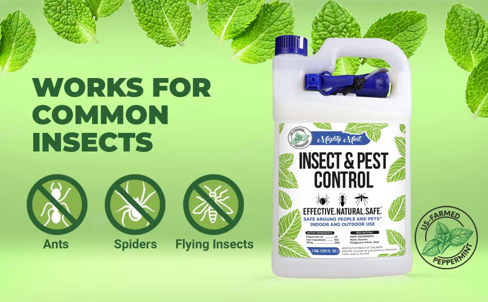Mighty Mint Gallon (128 oz) Insect and Pest Control Peppermint Oil - Natural Spray for Spiders, Ants, and More 10 Works for common insects, Ants, spider, flying insects