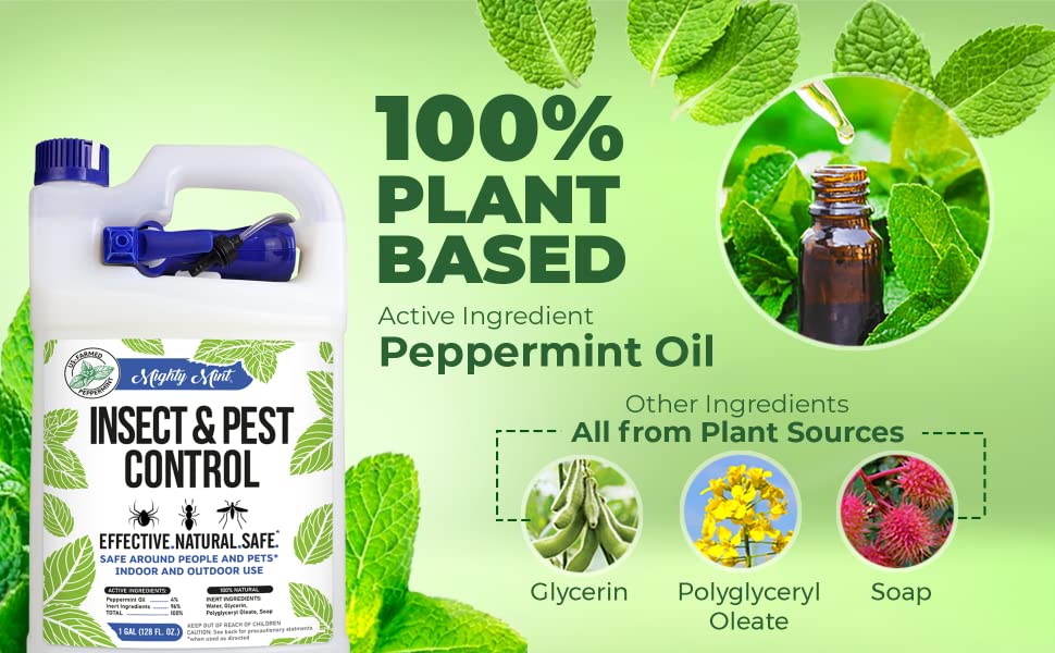 Mighty Mint Gallon (128 oz) Insect and Pest Control Peppermint Oil - Natural Spray for Spiders, Ants, and More 20 100% Plant-based ingredients