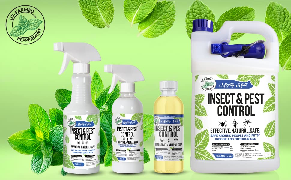Mighty Mint Gallon (128 oz) Insect and Pest Control Peppermint Oil - Natural Spray for Spiders, Ants, and More 22 Mighty Mint Insect Peppermint Repellent Products - 16oz, 8oz, concentrate, gallon