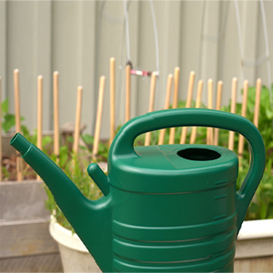Bloom City Professional pH Down Liquid Fertilizer, Quart (32 oz) 20 Watering Can