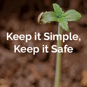 Bloom City Professional pH Down Liquid Fertilizer, Quart (32 oz) 32 Keep it Simple, Keep it Safe