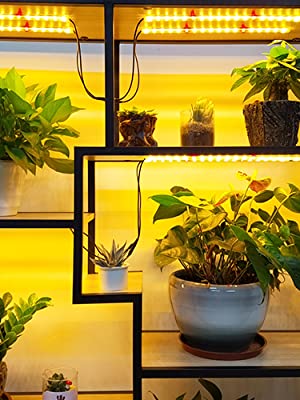 LED Grow Light Strip, 8 Pack Grow Lights for Indoor Plants, 80W Full Spectrum Plant Lights with 4 Dimmable Level, Auto On/Off 3/6/12H Timer, Sunlike Grow Lamp for Seedling Veg Flower Hydroponics 11 Ganple LED Indoor Grow light Strip Full spectrum