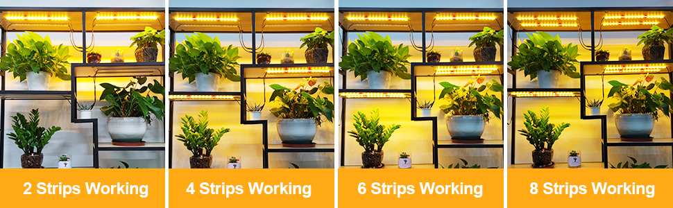 LED Grow Light Strip, 8 Pack Grow Lights for Indoor Plants, 80W Full Spectrum Plant Lights with 4 Dimmable Level, Auto On/Off 3/6/12H Timer, Sunlike Grow Lamp for Seedling Veg Flower Hydroponics 21 Daisy Chain Design -Flexible Installation