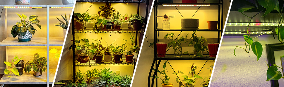 LED Grow Light Strip, 8 Pack Grow Lights for Indoor Plants, 80W Full Spectrum Plant Lights with 4 Dimmable Level, Auto On/Off 3/6/12H Timer, Sunlike Grow Lamp for Seedling Veg Flower Hydroponics 23 Multiple Use