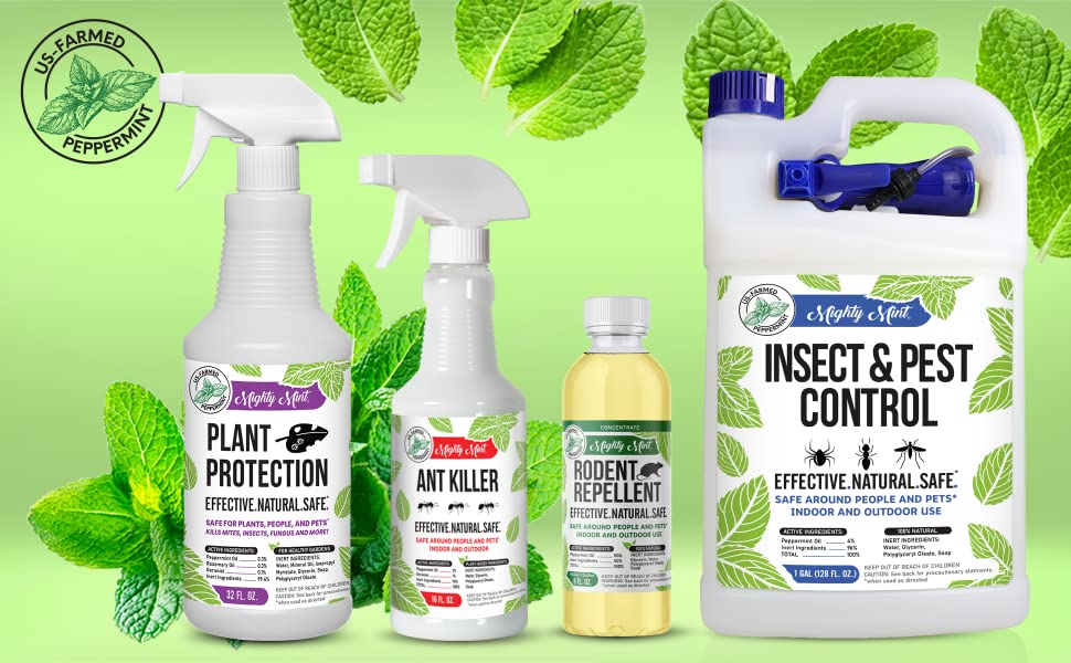Mighty Mint 32oz Plant Protection Peppermint Spray for Spider Mites, Insects, Fungus, and Disease 22 Mighty Mint Products: Plant Protection, Ant Killer, Rodent Repellent Concentrate, Insect Control