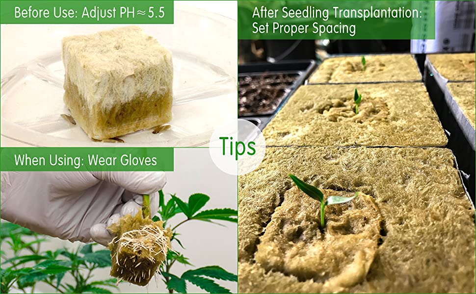 CastleGreens 1inch Rockwool Grow Cubes, Starter Plugs for Plant Growing, Great for Rooting, Cuttings, Clone Plants, Germination Start Seeds, Ideal Hydroponic Grow Media(4 Sheets, 200 Cubes Total) 13 grow media