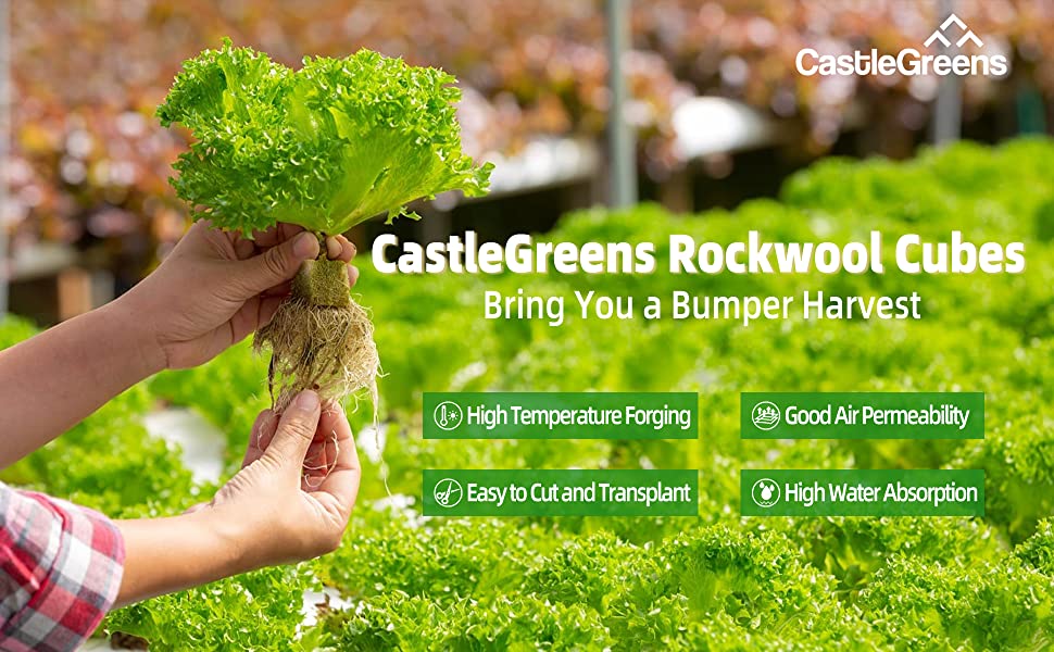CastleGreens 1inch Rockwool Grow Cubes, Starter Plugs for Plant Growing, Great for Rooting, Cuttings, Clone Plants, Germination Start Seeds, Ideal Hydroponic Grow Media(4 Sheets, 200 Cubes Total) 11 grow cubes