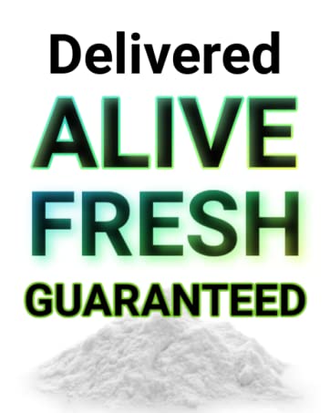 Mycorrhizal Fungi Root Enhancer for Plants - Bigger, Stronger, Healthier Roots, Use in Soil and Mycorrhizae Hydroponic - Super 20X Concentrated - Trifecta Myco Supreme (57 Grams / 2 OZ) 21 Root Booster