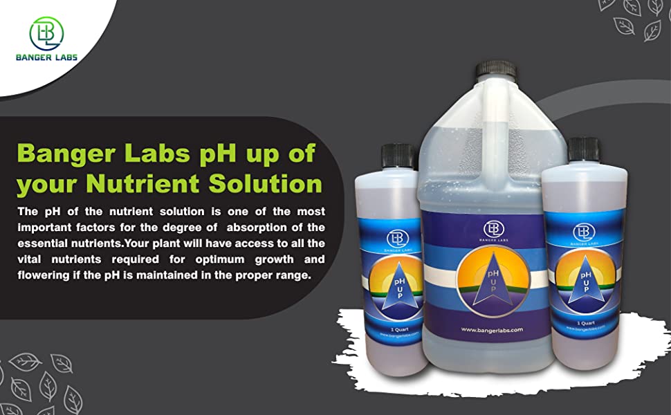 Banger Labs Premium pH up Solution 1 Quart 6 growth pH up flowering plants nutrients solution