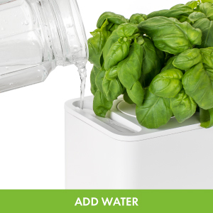 Click & Grow Indoor Herb Garden Kit with Grow Light | Smart Garden for Home Kitchen Windowsill | Easier Than Hydroponics Growing System | Vegetable Gardening Starter (3 Basil Pods Included), White 15 Water your smart garden with no effort