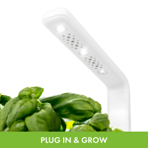 Click & Grow Indoor Herb Garden Kit with Grow Light | Smart Garden for Home Kitchen Windowsill | Easier Than Hydroponics Growing System | Vegetable Gardening Starter (3 Basil Pods Included), White 17 grow light automatic timer to grow anything
