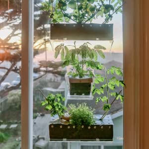Home Hydroponics: Small-space DIY growing systems for the kitchen, dining room, living room, bedroom, and bath 19 Three Suction Cup Planters on a window.