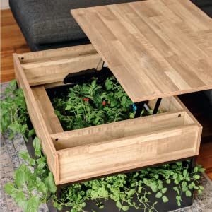 Home Hydroponics: Small-space DIY growing systems for the kitchen, dining room, living room, bedroom, and bath 23 Lift Top Coffee Table