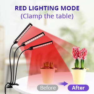 Grow Light for Indoor Plants - Adjustable Gooseneck Growing Light Strip W/9 Dimmable Red Blue Spectrum 3 Modes Auto ON/Off 3/9/12H Timer for Flower Greenhouse Veg Hydroponic Succulent Potted Growth 13 Growing lamps Strip Bar Fixture Red Blue Full Spectrum