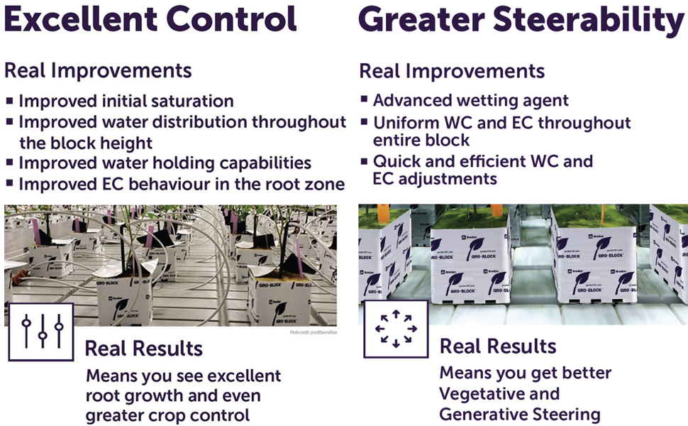 Grodan 1.5" Rockwool Starter Mini-Blocks + Twin Canaries Chart (30 Blocks) 7 Excellent Control, Greater Steerability