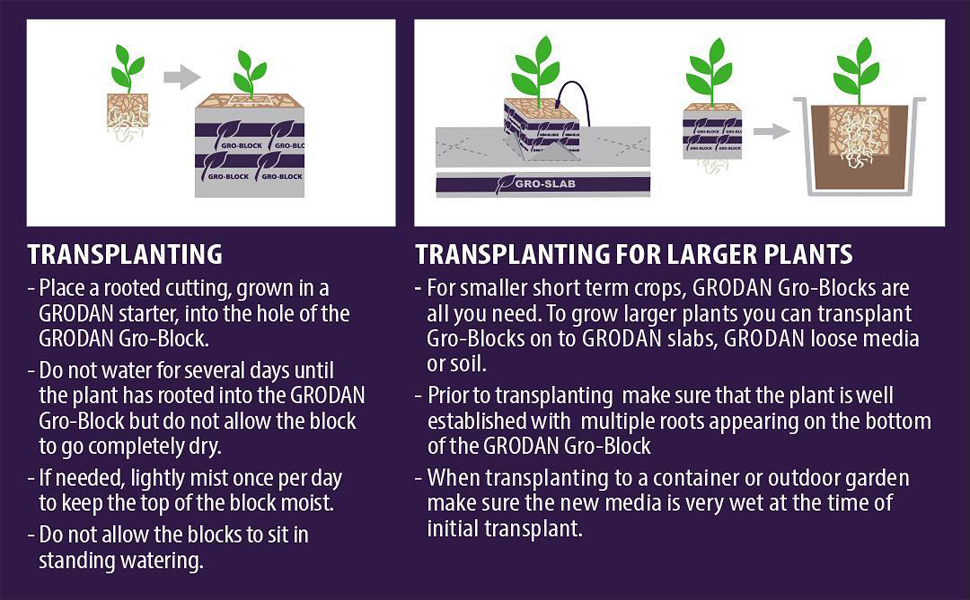 Grodan 1.5" Rockwool Starter Mini-Blocks + Twin Canaries Chart (30 Blocks) 13 Transplanting How To