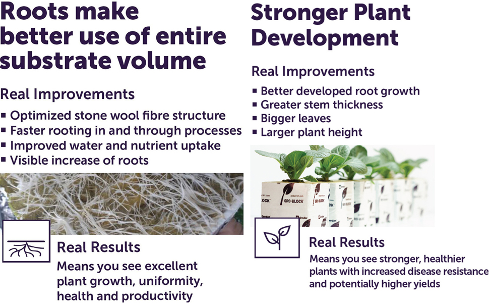 Grodan 1.5" Rockwool Starter Mini-Blocks + Twin Canaries Chart (30 Blocks) 9 Roots and Stronger Plant Development