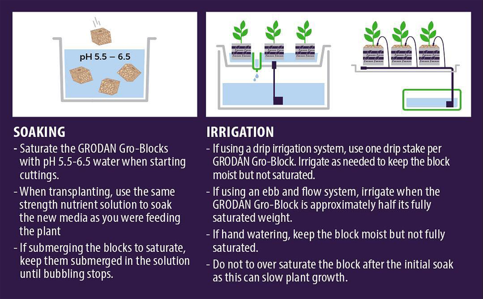 Grodan 1.5" Rockwool Starter Mini-Blocks + Twin Canaries Chart (30 Blocks) 11 Soaking and Irrigation How To