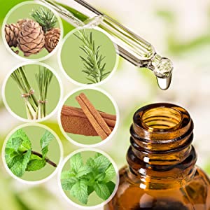 Eco Defense Pest Control Pouches - All Natural - Repels Rodents, Spiders, Roaches, Ants, Moths, Squirrels, & Other Pests 10 pouches,essential oils, cedar,cinnamon,lemongrass,rosemary,mint,peppermint,stay away, pest, flee