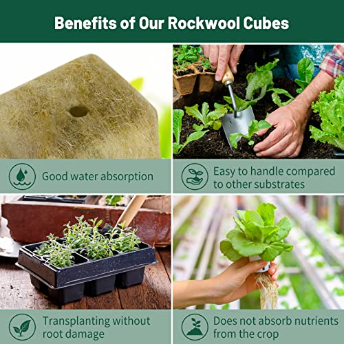 Jowlawn 1.5" Rockwool Cubes for Hydroponics - 2 Sheets Rockwool Grow Cubes for Rooting, Cuttings, Clone Plants, Starting Seeds, Ideal Rockwool for Hydroponic Growing (98 Plugs in Total) 2 Jowlawn 1.5" Rockwool Cubes for Hydroponics - 2 Sheets Rockwool Grow Cubes for Rooting, Cuttings, Clone Plants, Starting Seeds, Ideal Rockwool for Hydroponic Growing (98 Plugs in Total) - Image 2